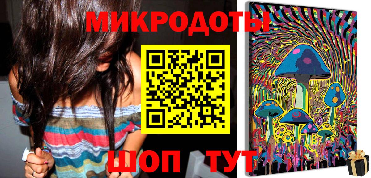 Галлюциногенные грибы Psilocybine cubensis Зима
