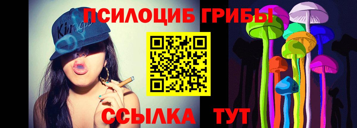Зима  Псилоцибиновые грибы Psilocybe  Псилоцибиновые грибы Psilocybine cubensis  Вход с VPN 